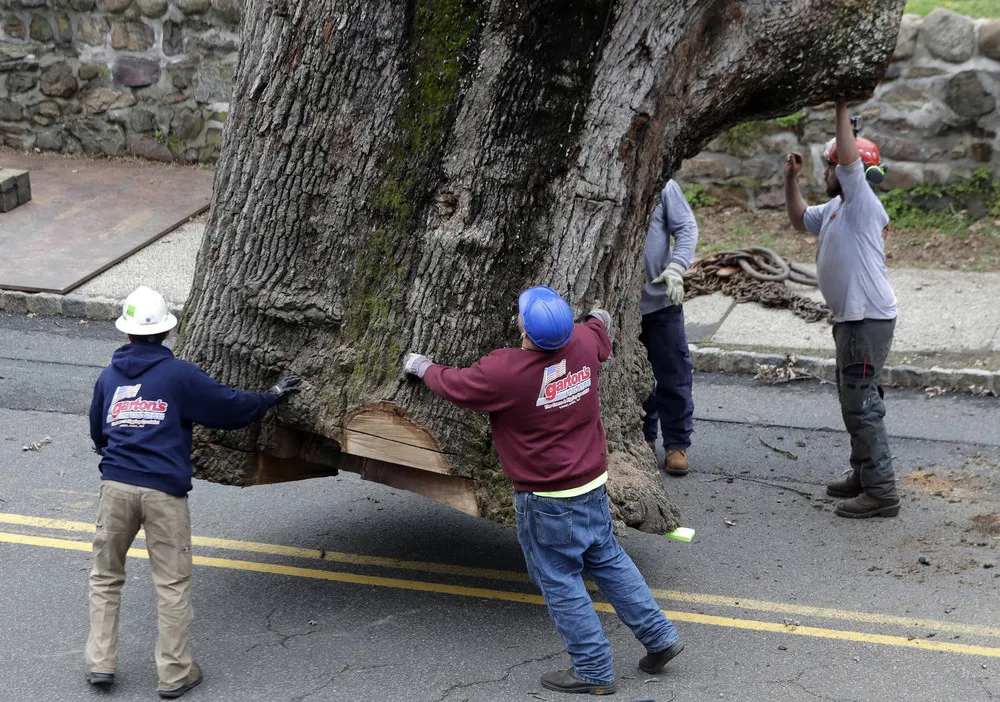 The Day in Photos – April 28, 2017, Part 2/2