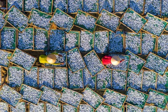 Crates of anchovies are laid out to dry at a market in Quang Nam province, Vietnam on March 30, 2022. (Photo by Nguyen Minh Tu/Solent News)