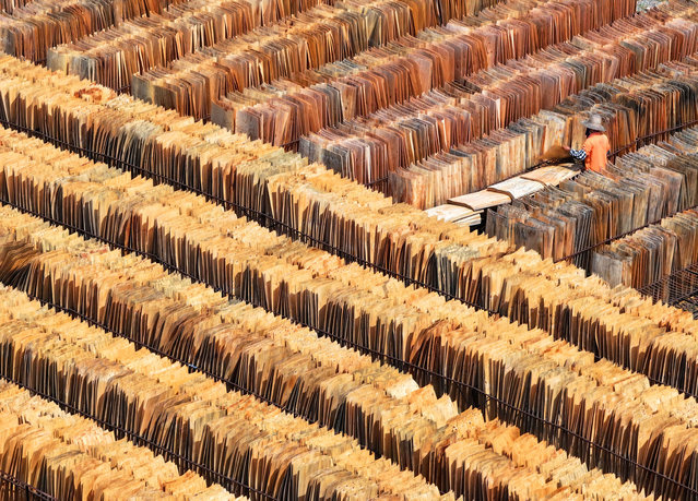 Aerial view of an employee arranging slabs to dry at a wood processing base on August 12, 2024 in Ji'an, Jiangxi Province of China. (Photo by Deng Heping/VCG via Getty Images)