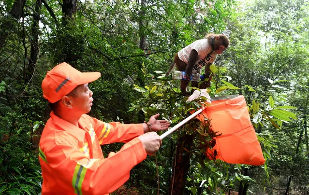 A monkey helps a worker collect garbage on an island at Shiyanhu Ecological Park on World Environment Day, in Changsha, Hunan province, China June 5, 2017. (Photo by Reuters/Stringer)