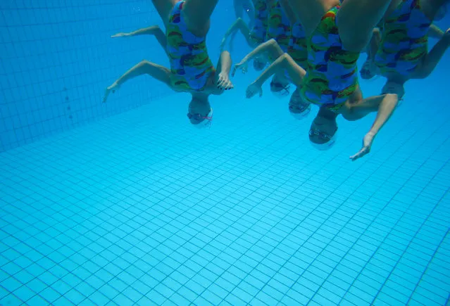 Brazil's synchronised swimming team performs during a training session at the Maria Lenk Aquatic Centre in Rio de Janeiro, Brazil, May 20, 2016. (Photo by Pilar Olivares/Reuters)