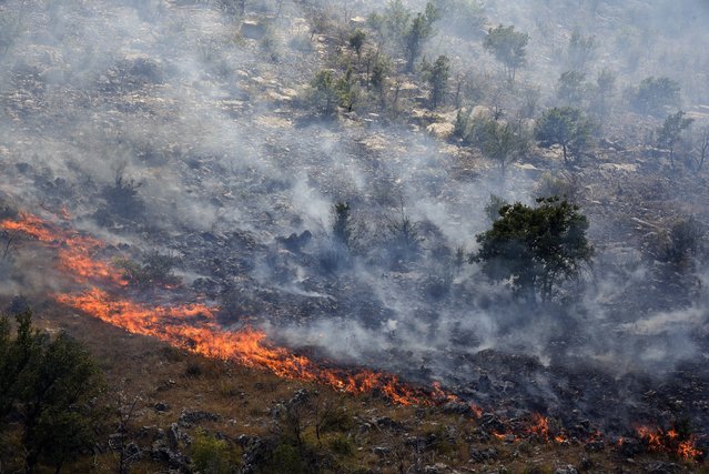 Smoke rises from trees burned by wildfire on a mountain near Montenegro capital Podgorica, Monday, July 17, 2017. At least 100 tourists have been forced to evacuate from a coastal area in Montenegro that has been the hardest hit by the blaze. Fueled by strong winds and dry weather, the fire on the Lustica peninsula in southern Montenegro has spread near to homes and camping zones. (Photo by Risto Bozovic/AP Photo)