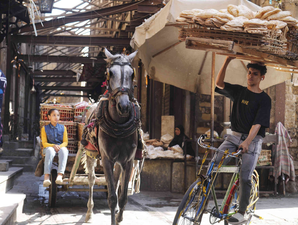 A Look at Life in Egypt