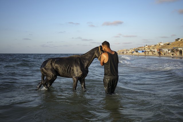 A Palestinian man who was displaced by the Israeli air and ground offensive on the Gaza Strip, washes his horse at the beach of Deir al-Balah, Wednesday, October 9, 2024. (Photo by Abdel Kareem Hana/AP Photo)