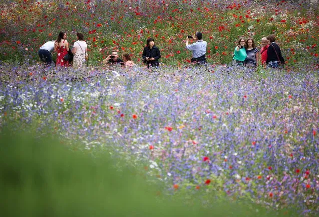 People visit the Superbloom, a botanical installation at the Tower of London in central London, Britain, June 19, 2022. (Photo by Henry Nicholls/Reuters)