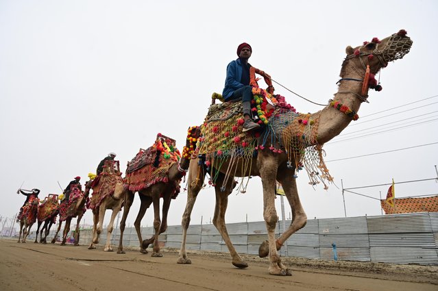 Camel riders walks at Sangam ahead of Mahakumbh 2025, in Prayagraj on Sunday, December 29, 2024. (Photo by Prabhat Kumar Verma/ZUMA Press Wire/Rex Features/Shutterstock)