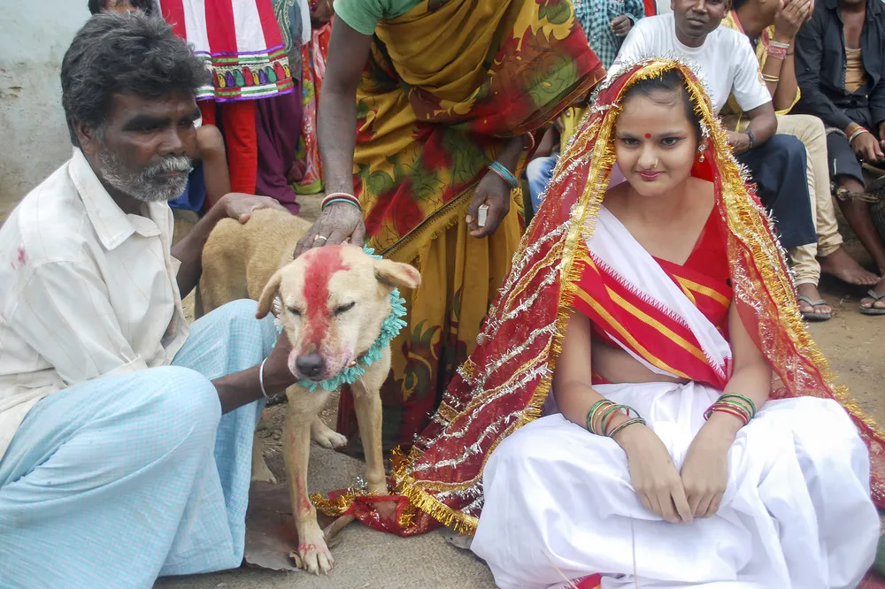 Ouch. Indian Teenage Girl Marries a Dog