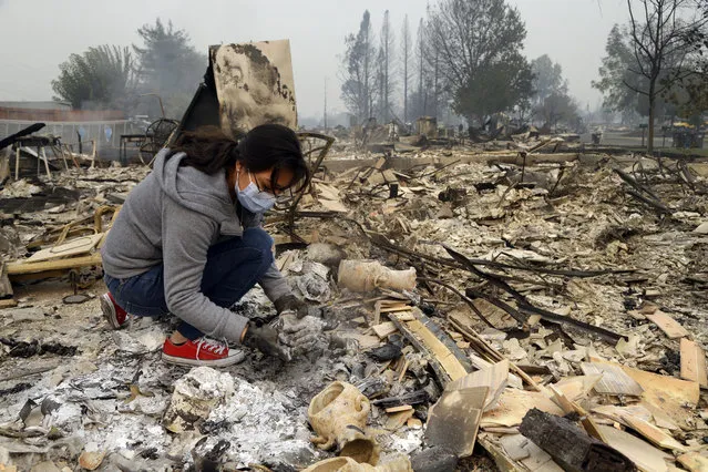 Leslie Garnica searches for belongings in the ashes of her home that was destroyed by fire in the Coffey Park area of Santa Rosa, Calif., on Tuesday, October 10, 2017. An onslaught of wildfires across a wide swath of Northern California broke out almost simultaneously then grew exponentially, swallowing up properties from wineries to trailer parks and tearing through both tiny rural towns and urban subdivisions. (Photo by Ben Margot/AP Photo)