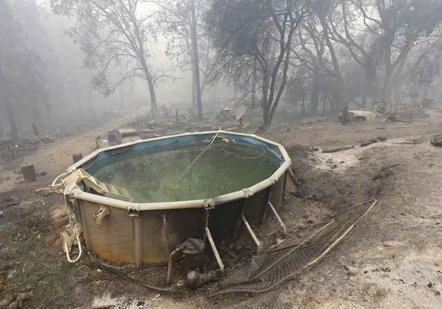 A swimming pool is covered with ash and debris from the Butte Fire, Saturday, September 12, 2015. (Photo by Rich Pedroncelli/AP Photo)