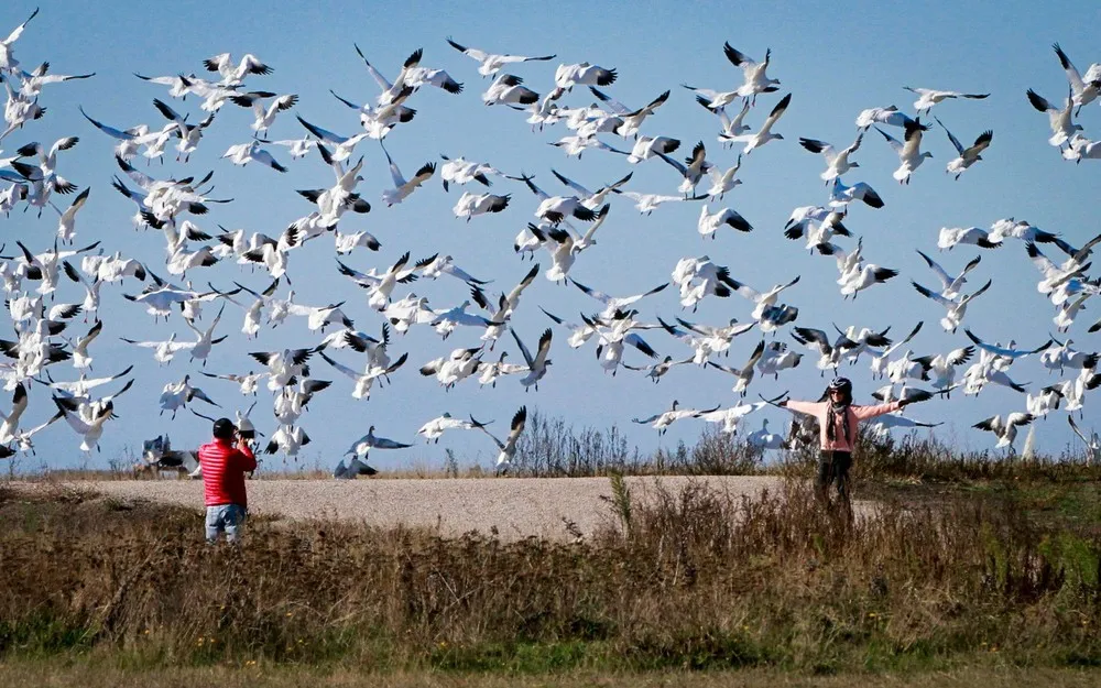 The Day in Photos – October 29, 2017