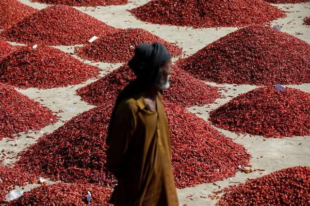 A man stands in front of mounds of red chili pepper, at the Mirch Mandi wholesale market, in Kunri, Umerkot, Pakistan, October 15, 2022. “Last year, at this time, there used to be around 8,000 to 10,000 bags of chillies in the market”, said trader Raja Daim. “This year, now you can see that there are barely 2,000 bags here, and it is the first day of the week. By tomorrow, and the day after, it will become even less”. (Photo by Akhtar Soomro/Reuters)