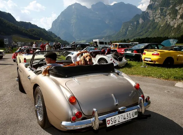 Participants, along with their dog, drive their vintage Austin Healey 5000 sports car during the British Car Meeting 2016 in the village of Mollis, Switzerland August 28, 2016. (Photo by Arnd Wiegmann/Reuters)