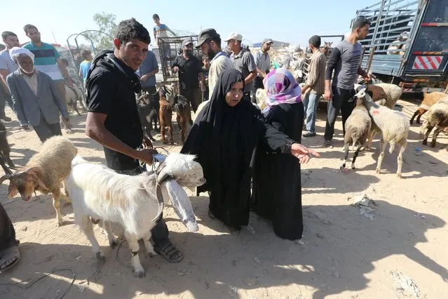 A Palestinian woman buys a goat from a vendor at a makeshift livestock market ahead of the Eid al-Adha festival in Deir El-Balah in the central Gaza Strip September 22, 2015. (Photo by Ibraheem Abu Mustafa/Reuters)