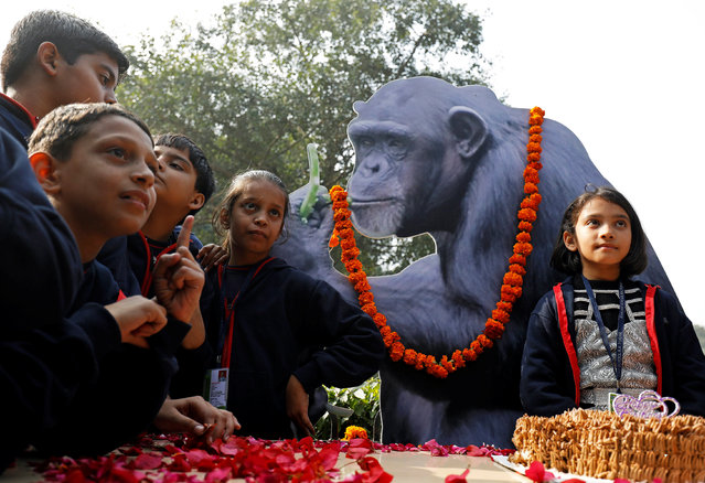 Schoolchildren celebrate 57th birthday of chimpanzee Rita, who according to local media is the oldest living chimpanzee in the country, at a zoological park in New Delhi, India, December 14, 2017. (Photo by Saumya Khandelwal/Reuters)