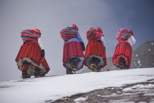 Elena Quispe Tincuta, 26, Julia Quispe Tincuta, 35, Alicia Quispe Tincuta, 40, and Pasesa Alana Llusco, 37, the cholita climbers whose goal is to reach the summit of Everest in the 2025 season, climb the snow-capped Huayna Potosi mountain, near El Alto, Bolivia, on February 28, 2024. (Photo by Claudia Morales/Reuters)