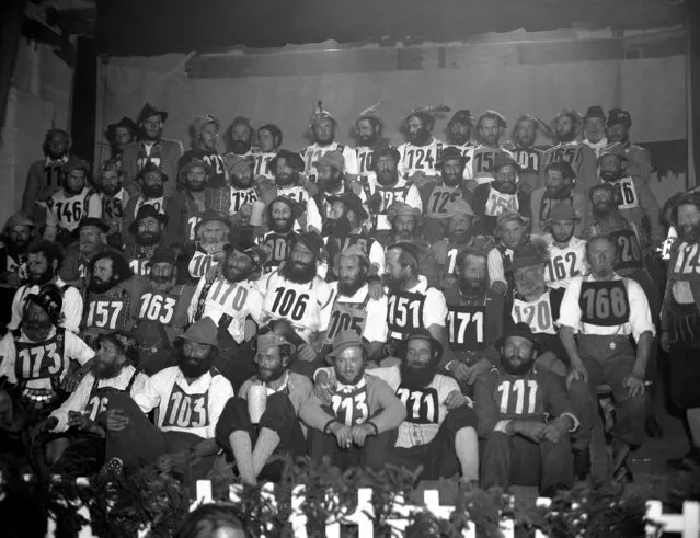 Proud of the beards they grew while working on ranches high up in the Alps during the summer months, these Bavarian cowboys entered a beard contest at Immenstadt in southern Germany, October 6, 1952. The 73 entries varied in age from 20 to 70 years old. The contest was the highlight of the annual rodeo at Immenstadt. (Photo by Heinrich Sanden/AP Photo)