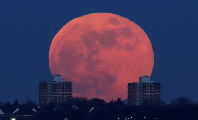 A full moon rises behind blocks of flats in north London, Britain, January 31, 2018. On Wednesday, much of the world see not only a blue moon and a supermoon, but also a total lunar eclipse, all rolled into one. There hasn’t been a triple lineup like this since 1982 and the next won’t occur until 2037. A blue moon is the second full moon in a month. A supermoon is a particularly close full or new moon, appearing somewhat brighter and bigger. A total lunar eclipse – or blood moon for its reddish tinge – has the moon completely bathed in Earth’s shadow. (Photo by Eddie Keogh/Reuters)