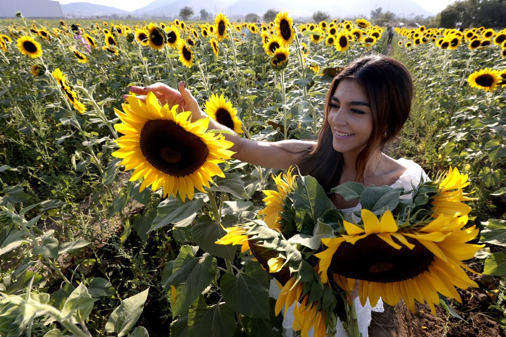 Some Photos: In Flowers