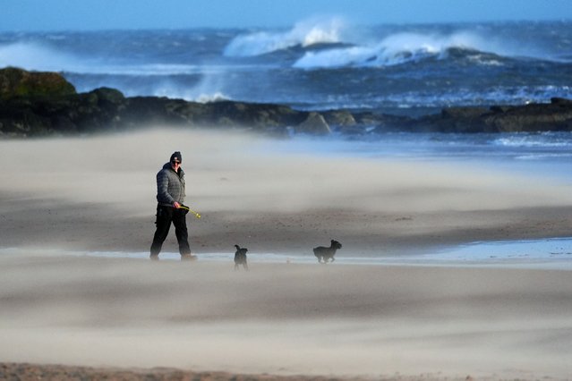 A person walking their dogs on a wind swept beach at Tynemouth Longsands on the North East coast of England on Friday, January 24, 2025. Schools have been closed and people warned not to travel on Friday, as 100mph winds pose a danger to life in parts of the UK as Storm Eowyn hits the country. (Photo by Owen Humphreys/PA Images via Getty Images)