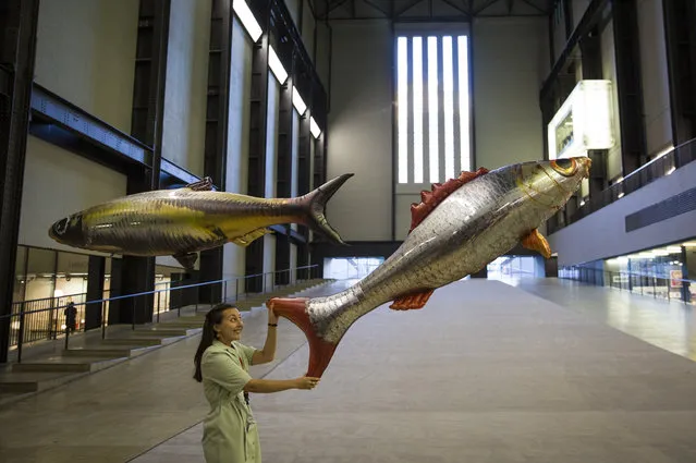 A Tate employee pictured with inflatable floating fish during a photo call for a new installation by French artist Philippe Parreno titled “Anywhen” at the Turbine Hall at the Tate Modern on October 3, 2016 in London, England. The Turbine Hall's latest installation sees the gallery space transformed by a sequence of changing light, sound and moving elements. (Photo by Jack Taylor/Getty Images)
