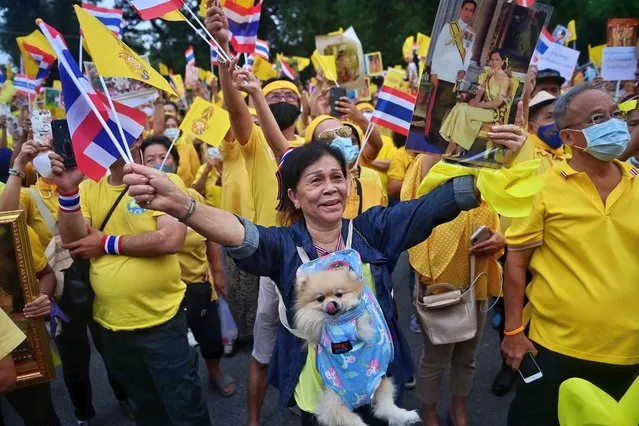 A royalist supporter waves flags while holding a small dog during a rally to show support for the Thai royal establishment in Bangkok on October 27, 2020. (Photo by Lillian Suwanrumpha/AFP Photo) 