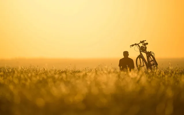 A picture made available on 02 October 2015 shows a man enjoying the sunset while sitting next to his bicycle on the Drachenberg hill in Berlin, Germany, 01 October 2015. (Photo by Lukas Schulze/EPA)
