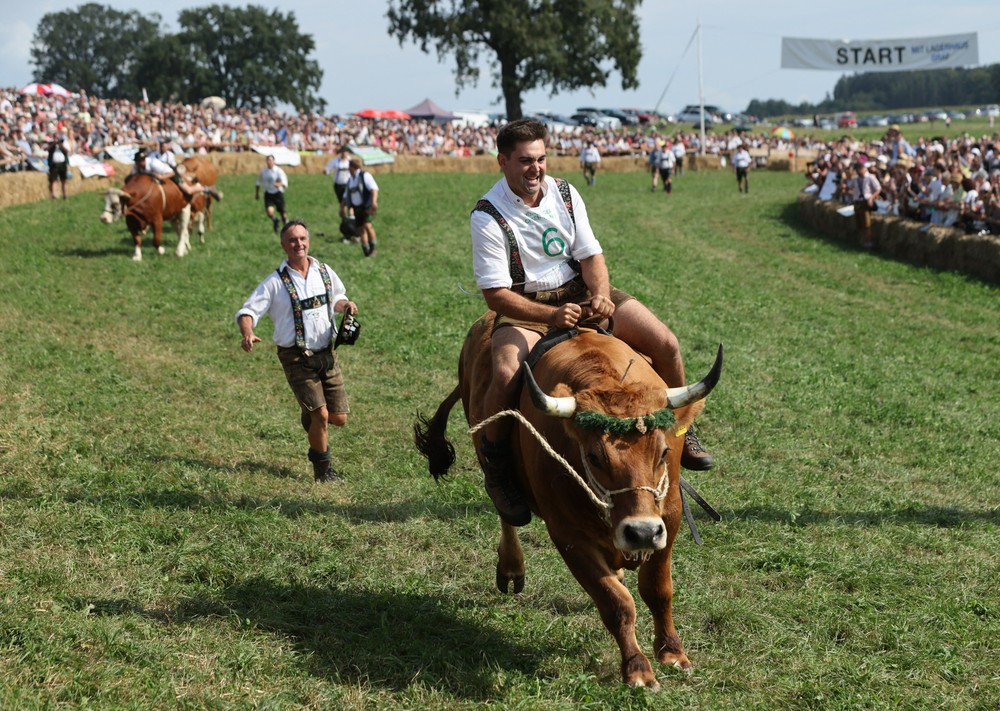 Pictures of the Year 2024, Part 184/240