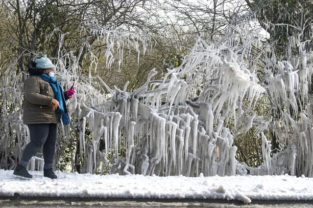 A woman takes a photograph of icicles hanging from branches in Epping Forest on the edge of London as the cold snap continues to grip much of the nation, Thursday February 11, 2021.  Overnight temperatures dropped below freezing overnight. (Photo by Victoria Jones/PA Wire via AP Photo)