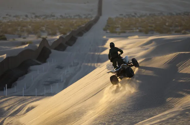 A U.S. Border Patrol agent rides an ATV while monitoring the U.S.-Mexico border at the Imperial Sand Dunes on November 17, 2016 near Felicity, California. The 15-foot fence, also known as the “floating fence”, sits atop the dunes and moves with the shifting sands. Border Patrol agents say they catch groups of illegal immigrants and drug smugglers crossing in from Mexico there daily, despite the forbidding terrain. (Photo by John Moore/Getty Images)