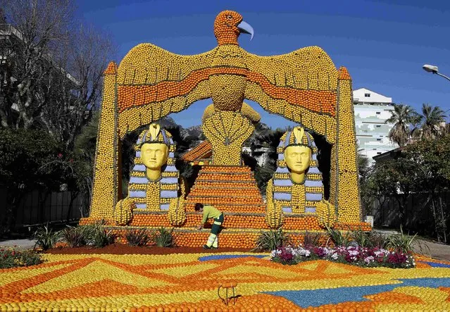 A worker puts the final touch to a replica of a giant eagle and pharaons made with lemons and oranges which shows a scene of the movie “Cleopatra” during the Lemon festival in Menton, France, February 10, 2016. (Photo by Eric Gaillard/Reuters)