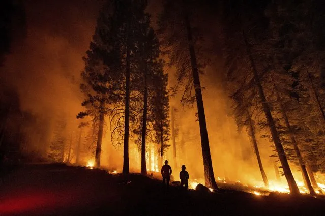 Cal Fire Capts. Derek Leong, right, and Tristan Gale monitor a firing operation, where crews set a ground fire to stop a wildfire from spreading, while battling the Dixie Fire in Lassen National Forest, Calif., on Monday, July 26, 2021. (Photo by Noah Berger/AP Photo)