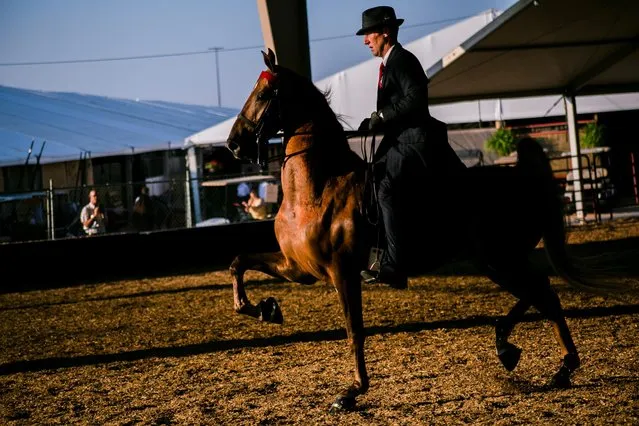 A rider and his horse warm up before entering a competition at the 2021 World Championship Horse Show hosted by the 117th Kentucky State Fair in Louisville, Kentucky, U.S. August 22, 2021. (Photo by Amira Karaoud/Reuters)
