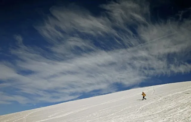 A man walks down a snow-covered hill during sunny winter weather near the village of Schindellegi, south of Zurich February 13, 2015. (Photo by Arnd Wiegmann/Reuters)