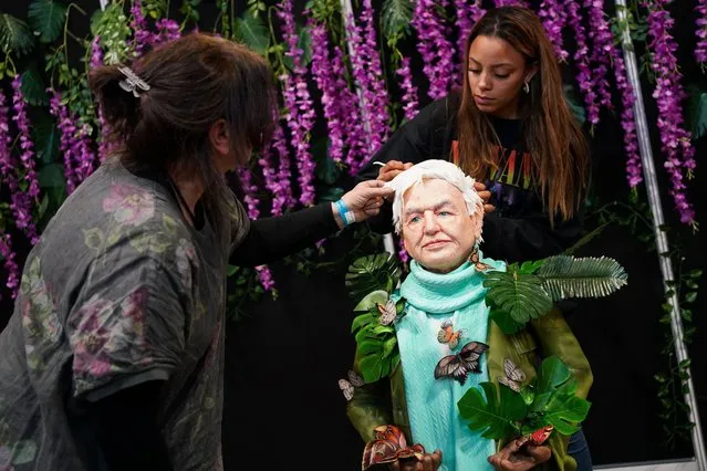 Final touches are made to a life sized Sir David Attenborough cake surrounded by animals as part of a display created by a group of cake artists during Cake International at NEC Birmingham on Friday, November 5, 2021. (Photo by Jacob King/PA Images via Getty Images)