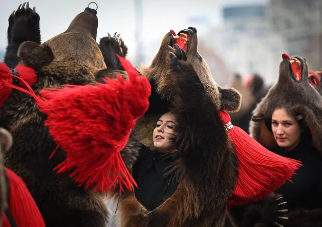 Members of a group wear real bear skins during The Parade of Customs and Traditions in Bucharest on December 18, 2022. The parade took place for the first time in downtown Bucharest celebrating the traditions of the season from different counties of Romania. Bands and masked groups chanted and danced while displaying allegorical horses, goats, bears. (Photo by Daniel Mihailescu/AFP Photo)