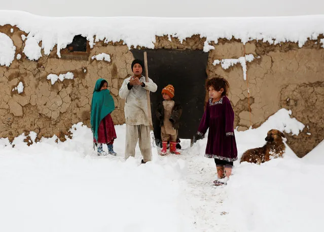 Internally displaced Afghan children stand outside their shelter during a snowfall in Kabul, Afghanistan February 5, 2017. (Photo by Mohammad Ismail/Reuters)