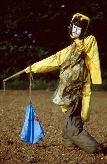 “At the beginning of the year, scarecrows preside over early sowings of rape and wheat. In battering winter gales, driving rain and sleet, many scarecrows get blown into weird positions like drunks; or collapse”. (Photo by Colin Garratt)