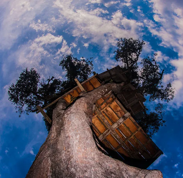 The Crazy Swing At Casa Del Arbol in Ecuador