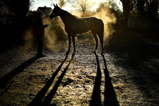 Steam rises in the cold air off race horse Nanna Hutch as trainer Willie O'Doherty walks the thoroughbred around after a training session at Glencairn Gallops in Lismore, Ireland, November 23, 2021. (Photo by Clodagh Kilcoyne/Reuters)