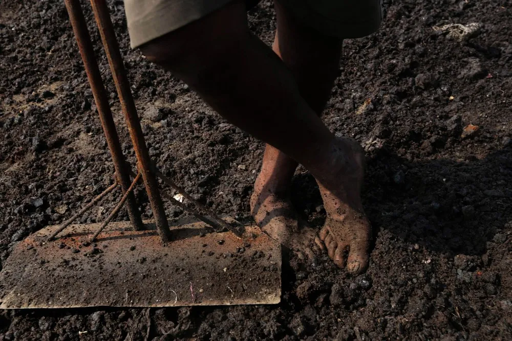 Indian Leather Industry