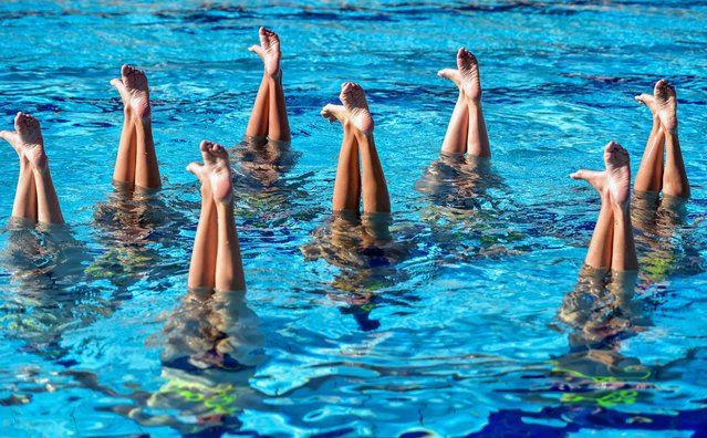 The country’s artistic swimming team trains at the Tobruk Memorial pool in Townsville, Queensland, Australia on May 29, 2024. (Photo by Scott Raddford Chisholm/AAP)