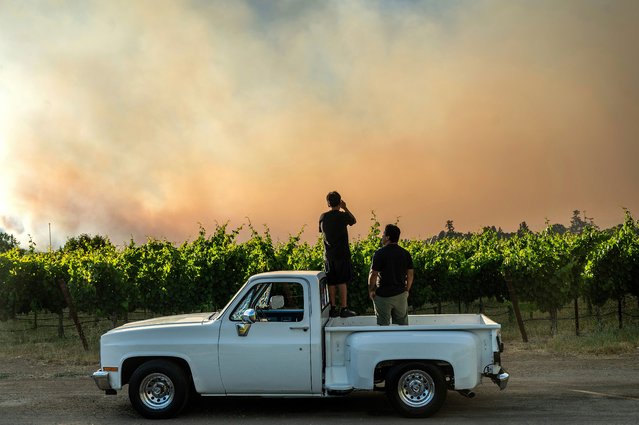 Men watch as the Point Fire burns over a vineyard in Healdsburg, Calif., Sunday, June 16, 2024. (Photo by Noah Berger/AP Photo)
