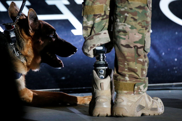 Service dog Kai is pictured with SST August O'Niell as they take part in the opening ceremony of the Invictus Games in Orlando Florida, U.S., May 8, 2016. (Photo by Carlo Allegri/Reuters)