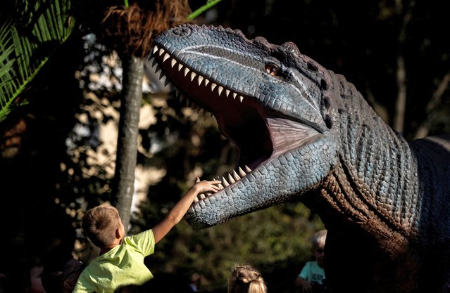 A boy touches a figure of a dinosaur during celebrations of the City Day in Museon park in Moscow, Russia on September 8, 2024. (Photo by Maxim Shemetov/Reuters)