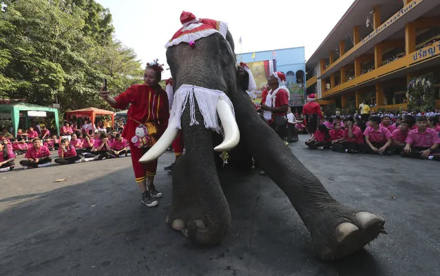 A mahout takes a photo with an elephant dressed in a Santa Claus costume during a celebration students at the Jirasartwitthaya school during Christmas celebrations in Ayutthaya province, north of Bangkok, Thailand, Monday, December 23, 2019. (Photo by Sakchai Lalit/AP Photo)