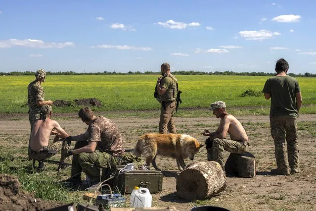 Ukrainian servicemen take a break after digging trenches near the frontline in Donetsk region, eastern Ukraine, Wednesday, June 8, 2022. (Photo by Bernat Armangue/AP Photo)