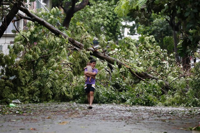 A man holds a baby as he walks past a fallen tree that was blown over by typhoon Yagi in Hanoi, Vietnam, 08 September 2024. Typhoon Yagi, Asia's most powerful storm so far this year, made landfall in northern Vietnam on 07 September, killing four people and injuring 78 others, according to state media. (Photo by Luong Thai Linh/EPA/EFE)