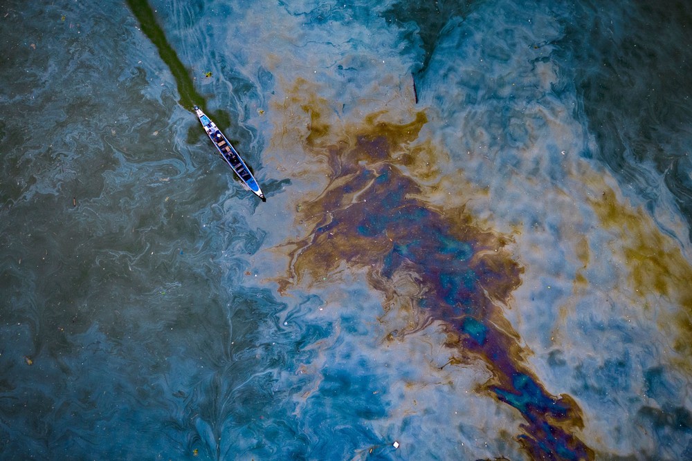 Some Photos: Ecology