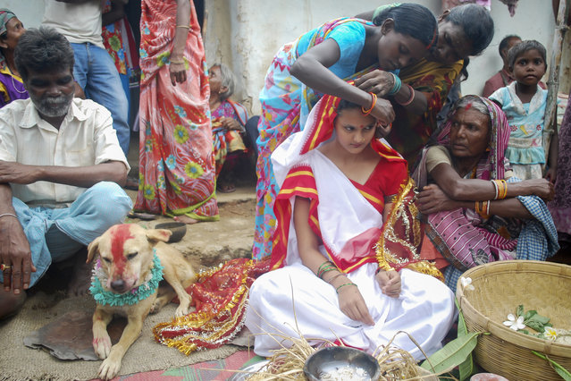Mangli Munda poses on her wedding day with a stray dog in Jharkhand, India on August 30, 2014. (Photo by Barcroft Media/ABACAPress)