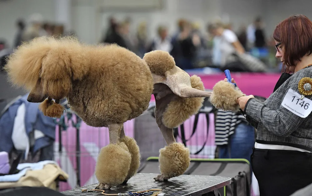 The Day in Photos – October 15, 2017